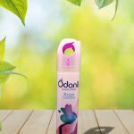 Odonil Room Spray(Rose Garden)